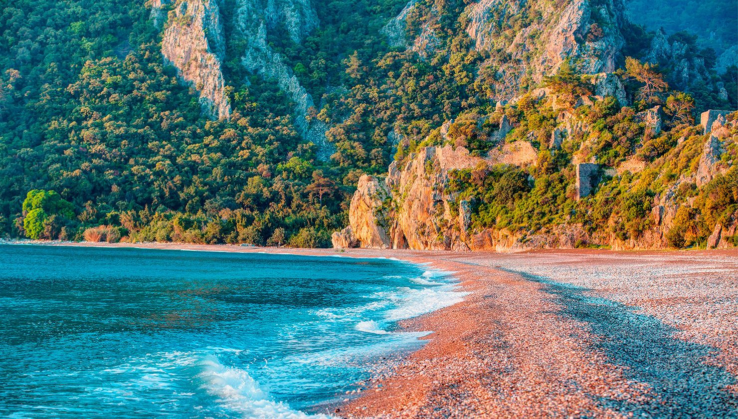 Turkey_pic.jpg