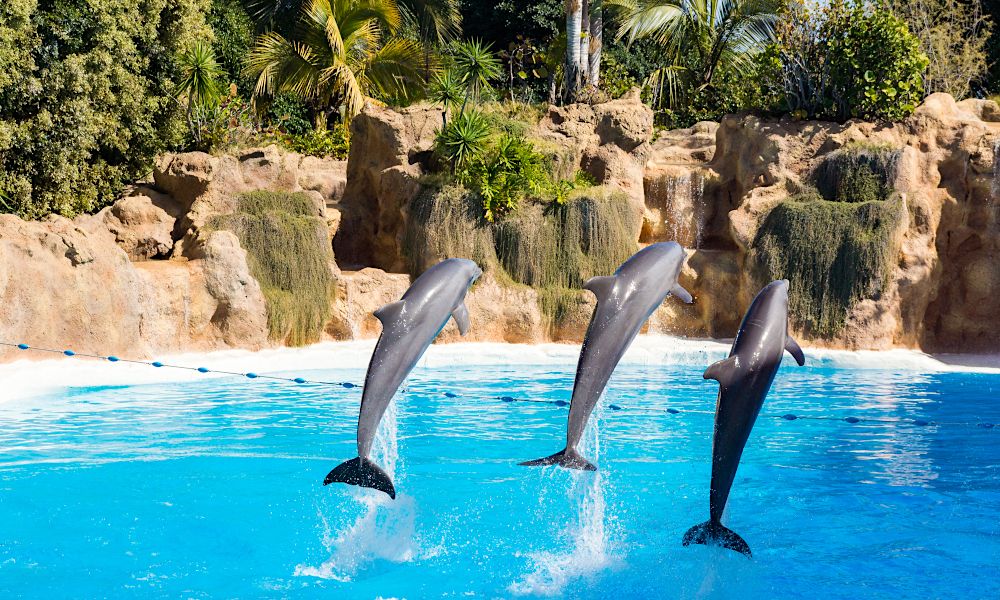 spain_tenerife_Loro Park.jpg