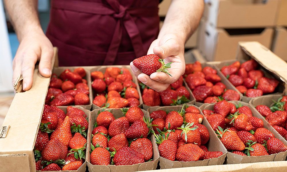 strawberry.jpg