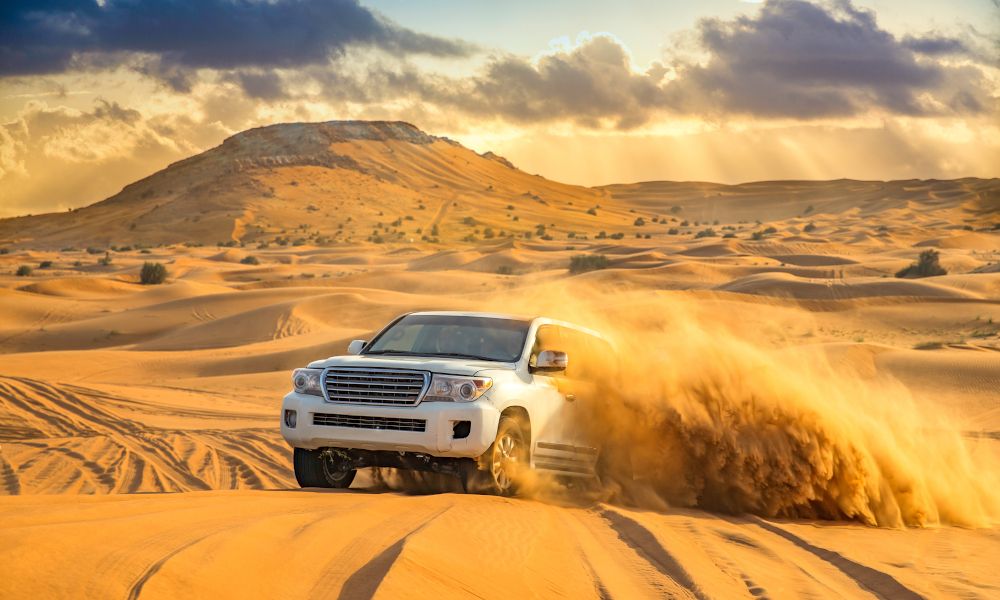 uae_Desert Safari .jpg