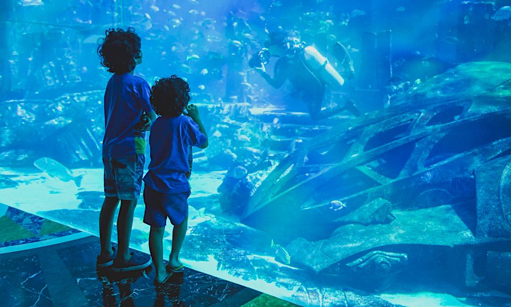 uae_dubai_aquarium.jpg